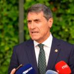 El delegado del Gobierno en Andalucía, Pedro Fernández. 