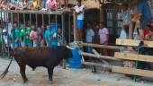 EXPECTACIÓN. El toro se acerca a las barreras ante la atenta mirada de decenas de personas.