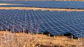 Una planta fotovoltaica de Ence.