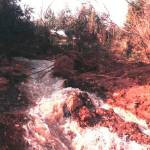Torrente de agua que ayer por la mañana manaba de la rotura cerca de la Fuente de la Peña. / Archivo Histórico de Diario JAÉN.