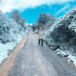 La nieve asediaba un camino en la zona de El Camello, en Ermita Nueva. / Archivo Histórico de Diario JAÉN.
