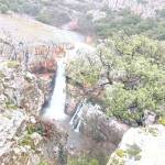 La cimbarra, a 27 de enero de 2026.