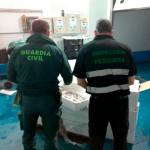 Intervenidos en Úbeda cerca de 750 kilos de productos pesqueros sin garantía de seguridad para su consumo. / Junta de Andalucía.