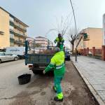 Trabajos de poda en diversas calles de Andújar. / Ayuntamiento de Andújar.
