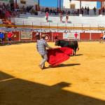 LIDIA. Un novillo-toro en la plaza tras realizar el recorrido tradicional del encierro. / Juanfran Paredes / Diario JAÉN. 