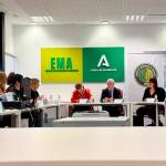 Reunión del comité asesor presidido por el delegado del Gobierno andaluz, Jesús Estrella (centro). / Junta de Andalucía.