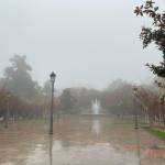 Lluvia en el Parque de la Concordia, en Jaén, en noviembre de 2023. / Laura Díaz Barrio / Diario JAÉN. 