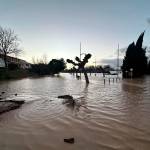 Estado del río Guadalquivir, por Villanueva de la Reina, con el paso del temporal