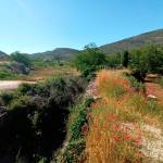 Imagen genérica del paraje Arroyo de las Parras, en el término municipal de Valdepeñas. / Juan Antonio Cabrera.
