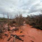 Río Guadalimar, a su paso por Torreblascopedro, a 5 de febrero. / F. J. Marín / Diario JAÉN.