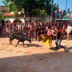 Un vecino torea una de las reses durante el encierro. / Juanfran Paredes / Diario JAÉN. 