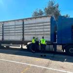 El camión interceptado. / Guardia Civil.