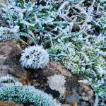 Estampas que dejan las temperaturas bajo cero registradas durante esta madrugada en la provincia de Jaén.