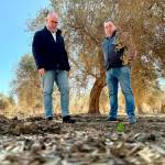 Visita de Jesús Estrella a una finca en Villanueva de la Reina. / Junta de Andalucía.