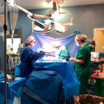 Donación de órganos. / Junta de Andalucía.