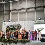 Presentación de las XII Fiestas del Medievo de Sabiote. / A. Bravo.