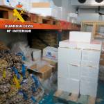 Pescado y marsico decomisado en una distribuidora del mercado de mayoristas de Úbeda. / Guardia Civil.