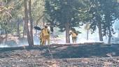 Bomberos en la labores de extinción del fuego a las faldas del Castillo. / F. Gaitán / Diario JAÉN. 