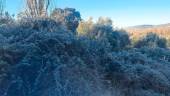 Arbustos y olivos han amanecido así en Sorihuela del Guadalimar. / Fotografías y vídeo Conchi Robles / Diario JAÉN.