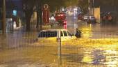 INTERVENCIONES. Arriba, un hombre con el agua por la cintura en una calle de Bailén. A la izquierda, una zona precintada en Úbeda. A la derecha, un árbol partido por la mitad en la capital.