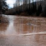 El río Guadalquivir continúa creciendo, a 27 de enero de 2026. / Diario JAÉN.