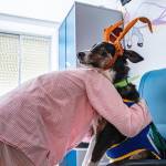 Visita de los perros Rufino y Garbanzo para sesiones de terapia canina, en el Hospital Universitario de Jaén. / Junta de Andalucía.