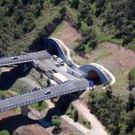 Imagen de archivo del túnel de Despeñaperros, uno de los que se verá sometido a obras de modernización en junio. / Ministerio de Transportes. 