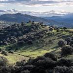 Sierra Morena, zona de la provincia con más riesgo de incendios durante el verano, junto a la Sierra de Cazorla. / Agustín Muñoz / Diario JAÉN. 