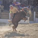 Un joven se acerca a una becerra dentro de una de las calles aledañas, abarrotada de gente tanto en el asfalto como en las vallas, junto a la plaza en Beas de Segura. / F. Gaitán / Diario JAÉN. 