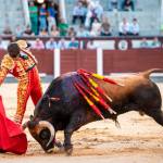 El paso de Pedro Gallego a matador representa un hito personal en su carrera taurina. / Tauroemoción.