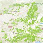 Vista general de la provincia de Jaén con la cantidad de superficie que dispone de monte público.
