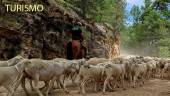 Camino de las ovejas trashumantes. / Archivo Diario JAÉN.