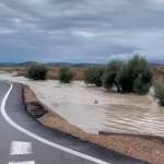 Clip rescatado del vídeo. / Ayuntamiento de Arjona.