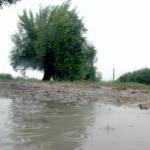 La lluvia empapa los campos de olivar de la provincia con las precipitaciones. / Archivo Histórico de Diario JAÉN.