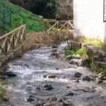Captura del vídeo recopilatorio de algunos espacios naturales de Jaén, a 15 de febrero.