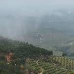 Paisaje de Sierra de Segura con nieve cayendo en el día de hoy. / Pedro Cátedra.