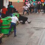 Instante de la cogida del toro, que causó la muerte de Santiago San Román. / Facebook.