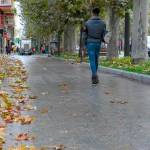 Hojas caídas en el Paseo de la Estación, en la capital, en una imagen de archivo. / Agustín Muñoz / Diario JAÉN.