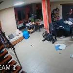Especializada banda de ladrones.