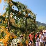 El tránsito desde Hornos hasta el paraje de El Control, se hizo a pie, admirando los insuperables paisajes de pinares y olivos que flanqueaban a la adorada Virgen de Fátima. / Pablo Espinosa / Diario JAÉN.