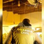 Agente en el interior de la plantación desmantelada en una vivienda de La Carolina. / Guardia Civil. 