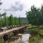 Cerca de doscientas carretas participan en una jornada de primavera espléndida en Lugar Nuevo, este sábado. / Diario JAÉN.