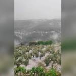 Captura de pantalla de vídeo compartido por Meteohellín. / Meteohellín.