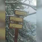Nevada en la zona del nacimiento del Río Guadalquivir, en Cañada de las Fuentes, en Quesada. / Imágenes de Marisa Martínez. 