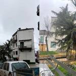 Árbol volcado sobre el balcón de una vivienda en Villacarrillo.
