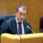 El senador del PP por Jaén Francisco Javier Bermúdez Carrillo. / PP de Jaén.