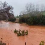 El río Guadiel, a finales de la mañana, a 4 de febrero. / Fran Miranda / Diario JAÉN.