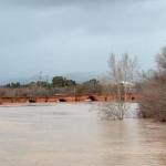 Clip rescatado del vídeo de Carlos Expósito.