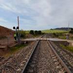 Cabra del Santo Cristo.