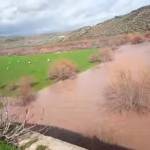 Clip rescatado dle vídeo, a 5 de febrero de 2026.